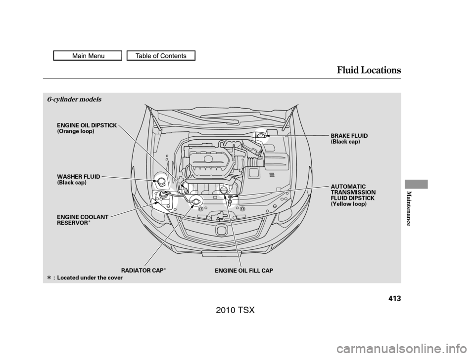 Acura TSX 2010  Owners Manual Î
Î
Î
Fluid Locations
Maint enance
6-cylinder models
413
BRAKE FLUID
(Black cap)
WASHER FLUID
(Black cap) AUTOMATIC
TRANSMISSION
FLUID DIPSTICK
(Yellow loop)
ENGINE OIL DIPSTICK
(Orange loop)
RA