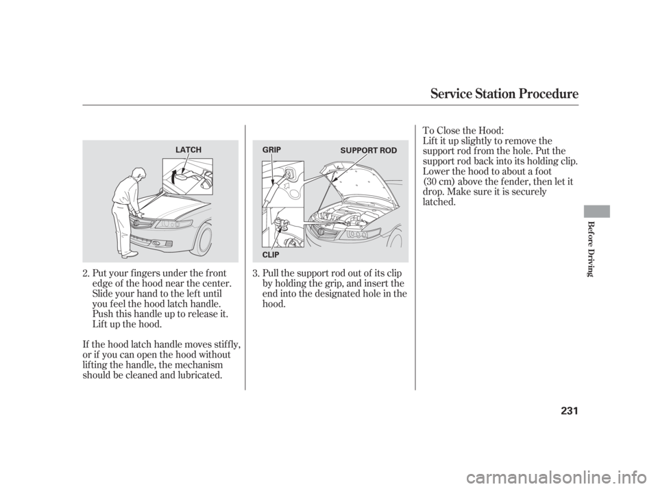 Acura TSX 2006  Owners Manual Lif t it up slightly to remove the
support rod f rom the hole. Put the
support rod back into its holding clip.
Lower the hood to about a f oot
(30cm)abovethefender,thenletit
drop. Make sure it is secu