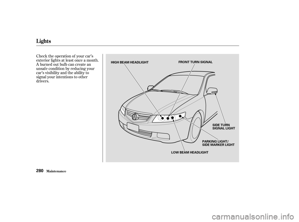 Acura TSX 2004  Owners Manual Check the operation of your car’s
exterior lights at least once a month.
A burned out bulb can create an
unsaf e condition by reducing your
car’s visibility and the ability to
signal your intentio