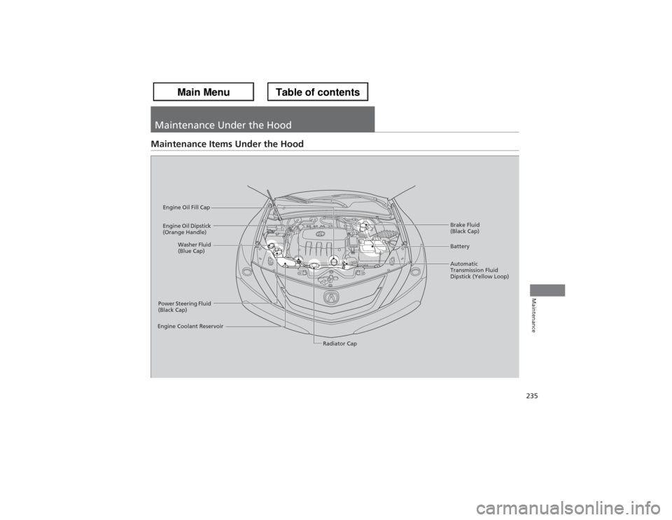 Acura ZDX 2013  Owners Manual 235Maintenance
Maintenance Under the HoodMaintenance Items Under the Hood
Brake Fluid 
(Black Cap)
Engine Coolant Reservoir
Radiator Cap Washer Fluid 
(Blue Cap) Engine Oil Dipstick 
(Orange Handle)En