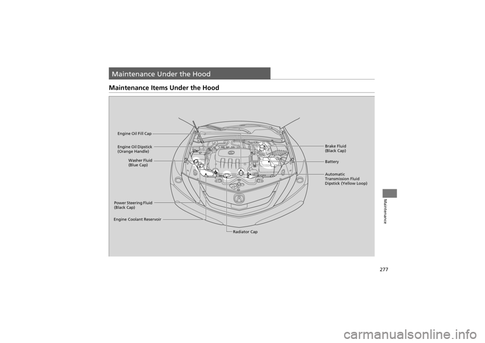 Acura ZDX 2012  Owners Manual 277
Maintenance
Maintenance Under the Hood
Maintenance Items Under the Hood
Brake Fluid 
(Black Cap)
Engine Coolant Reservoir Radiator Cap
Washer Fluid 
(Blue Cap)
Engine Oil Dipstick 
(Orange Handle)