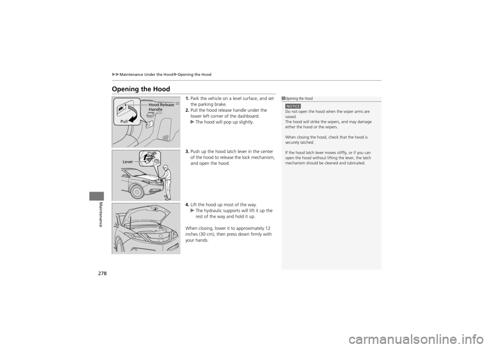 Acura ZDX 2012 User Guide 278
uuMaintenance Under the Hood uOpening the Hood
Maintenance
Opening the Hood
1. Park the vehicle on a level surface, and set
the parking brake.
2. Pull the hood release handle under the
lower le Acura ZDX 2012 User Guide 278
uuMaintenance Under the Hood uOpening the Hood
Maintenance
Opening the Hood
1. Park the vehicle on a level surface, and set
the parking brake.
2. Pull the hood release handle under the
lower le