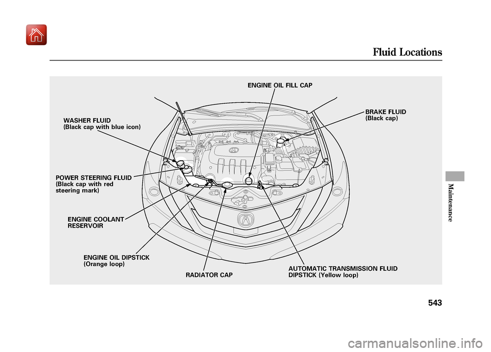Acura ZDX 2012  Owners Manual WASHER FLUID
(Black cap with blue icon)
POWER STEERING FLUID
(Black cap with red
steering mark)
ENGINE OIL DIPSTICK
(Orange loop)
ENGINE COOLANT
RESERVOIR
AUTOMATIC TRANSMISSION FLUID
DIPSTICK (Yellow