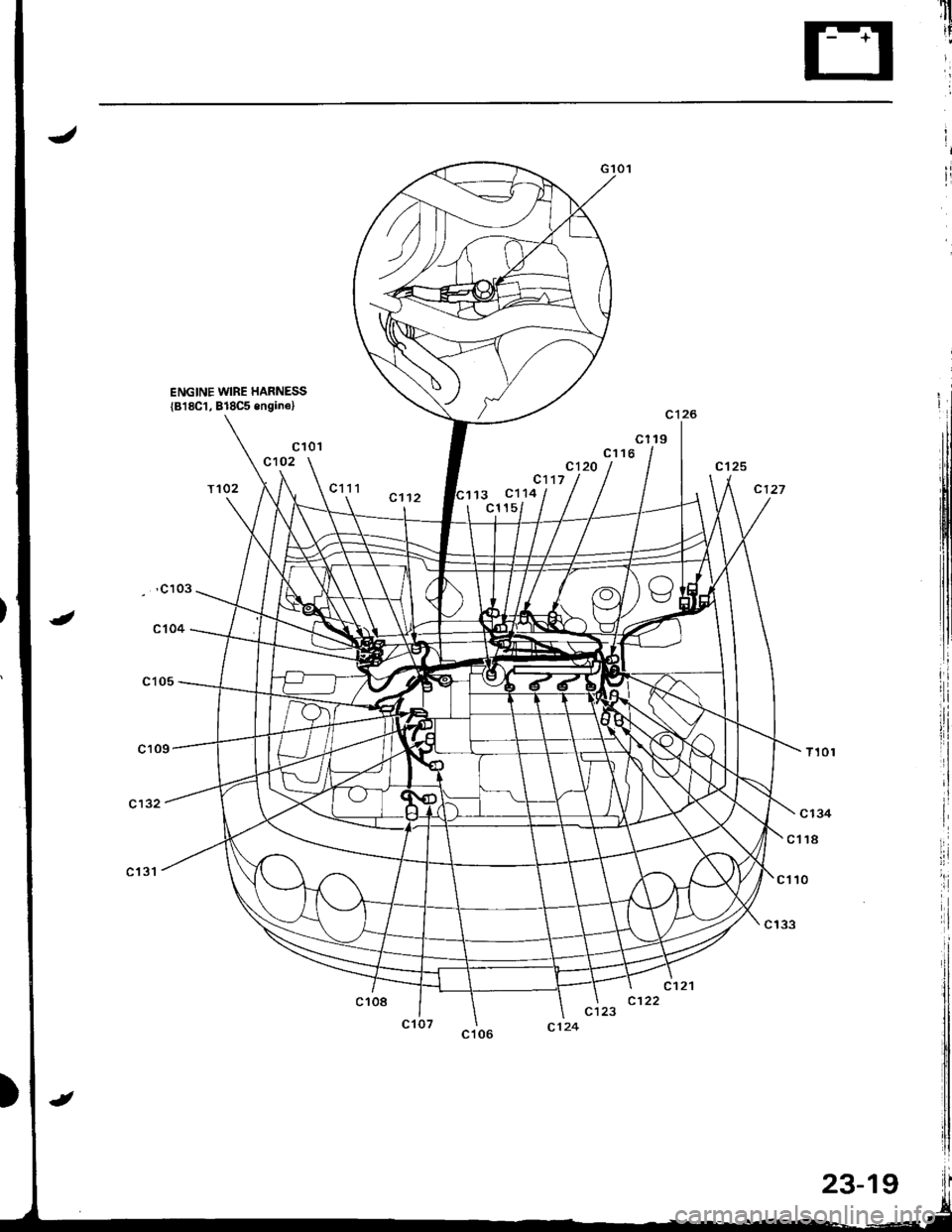 ACURA INTEGRA 1998  Service Repair Manual ENGINE WIRE HARNESS
{818C1, 818C5 engine}
c 101c102
c117
13 c114c1 15
c134
c1t8
ct 10
c133
23-19 