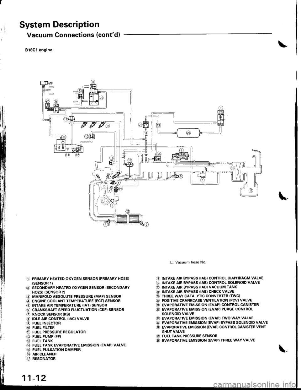 ACURA INTEGRA 1998  Service Owners Guide System Description
Vacuum Connections (contdl
Bl8Cl engine:
rl
llj
lli;r
Fil
ryl
xr
flti
li
tl
I
lr; I
,l{9^h;L-r
-1] PRIMARY HEATED OXYGEN SENSOR IPRIMARY HO2SItsENsoR 1l
O SECONDARY HEATED OXYGE