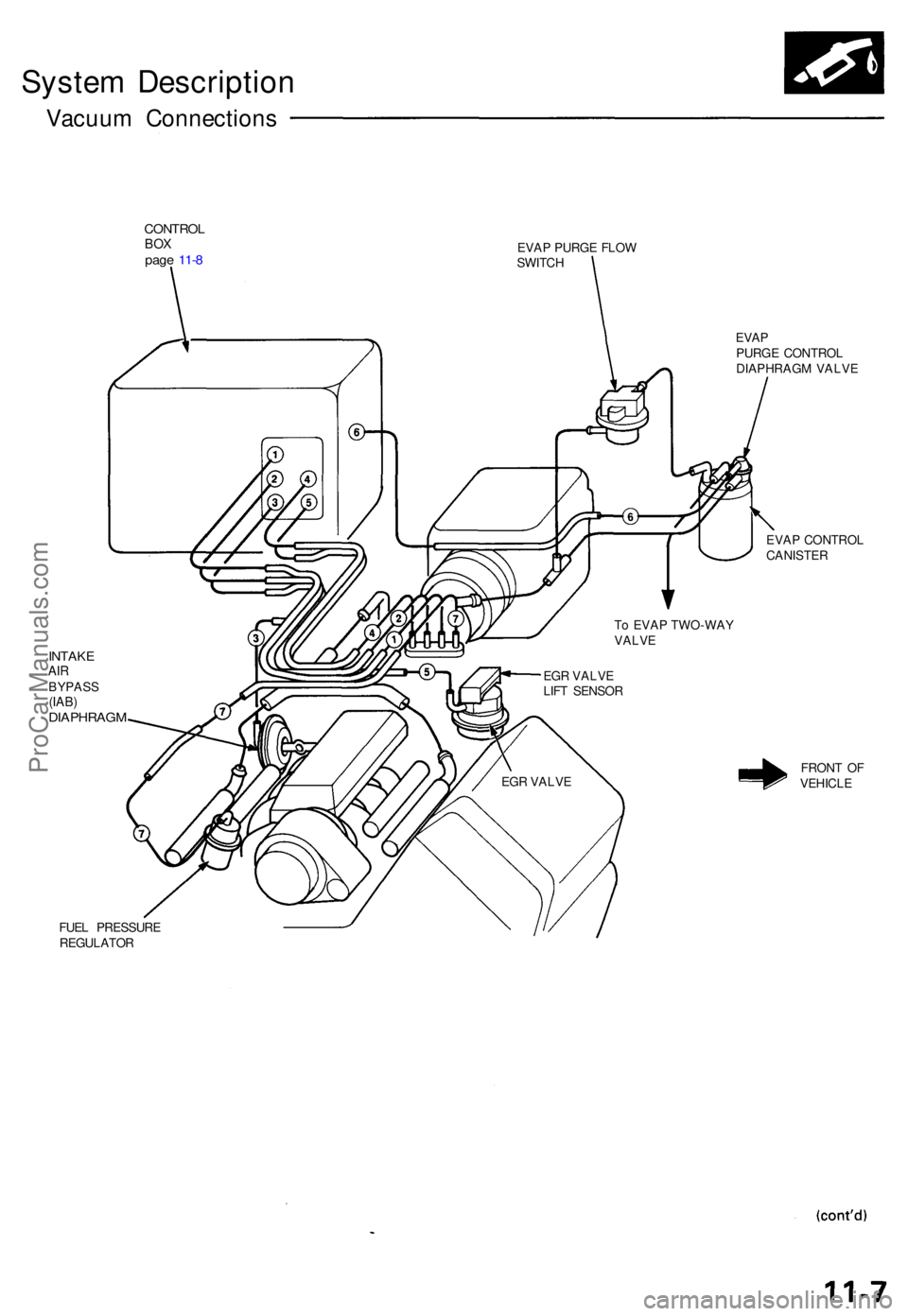 ACURA NSX 1991  Service Repair Manual System Descriptio n
Vacuum Connection s
CONTROLBOXpag e 11- 8EVA P PURG E FLO W
SWITC H
INTAKEAIRBYPAS S(IAB)DIAPHRAG M
FUEL PRESSUR E
REGULATO R EVA
P
PURG E CONTRO L
DIAPHRAG M VALV E
EVA P CONTRO L