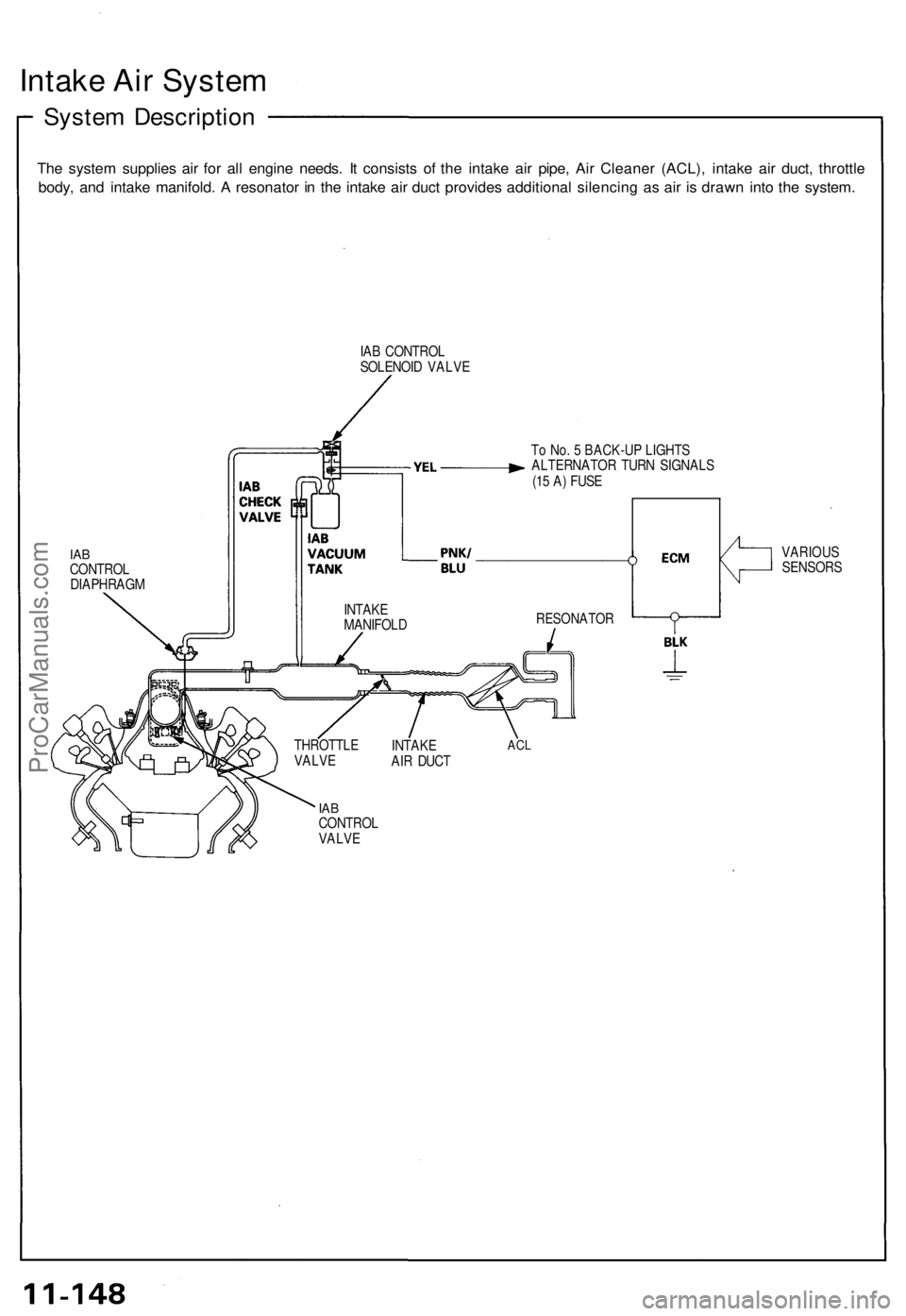 ACURA NSX 1991  Service Repair Manual 
Intake Air System

System Description

The system supplies air for all engine needs. It consists of the intake air pipe, Air Cleaner (ACL), intake air duct, throttle

body, and intake manifold. A res