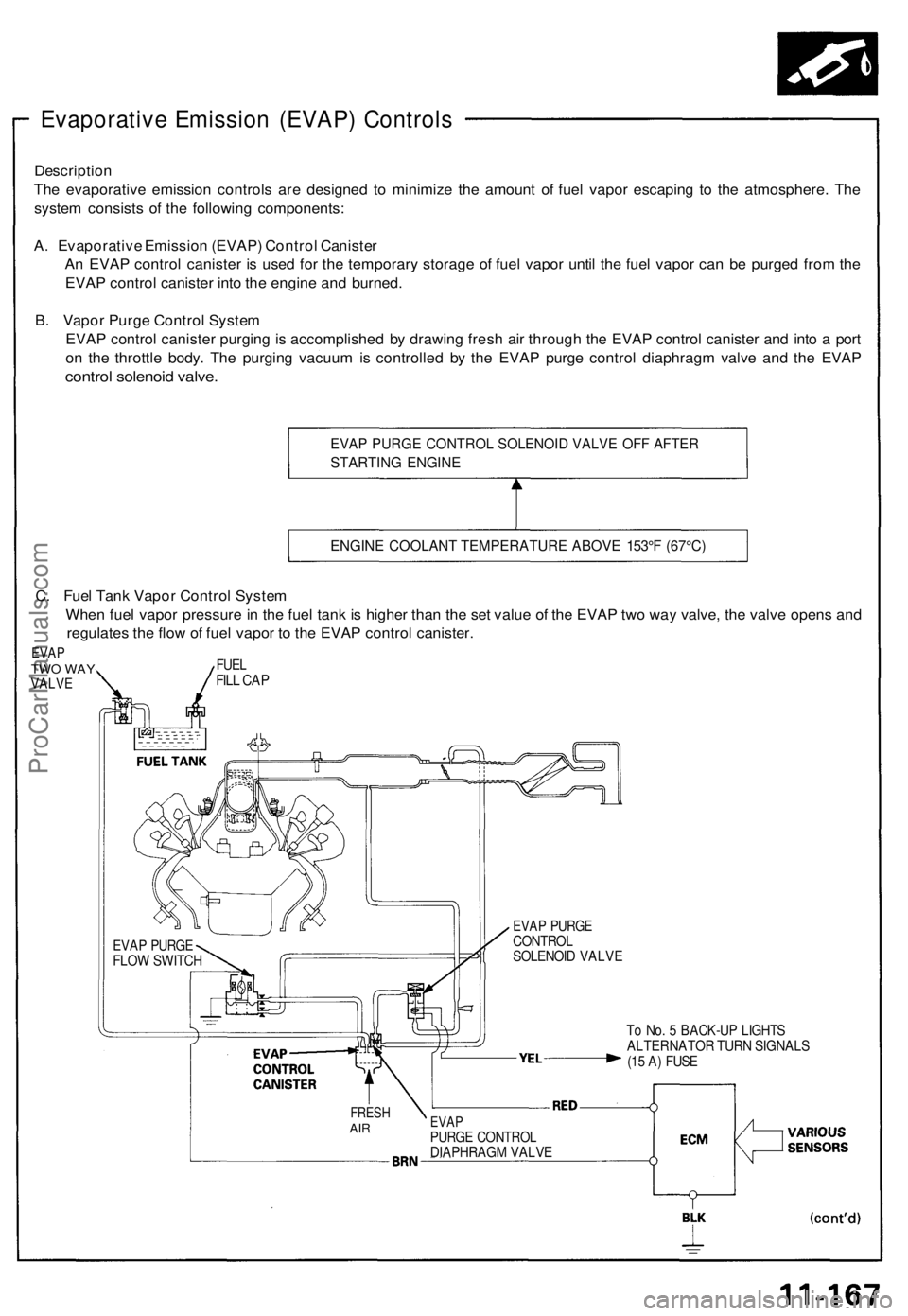 ACURA NSX 1991  Service Repair Manual 
Evaporative Emission (EVAP) Controls

Description

The evaporative emission controls are designed to minimize the amount of fuel vapor escaping to the atmosphere. The

system consists of the followin