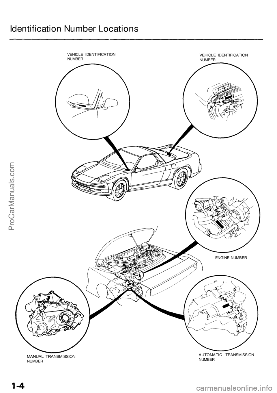 ACURA NSX 1991  Service Repair Manual 
Identification Number Locations

VEHICLE IDENTIFICATION

NUMBER 
VEHICLE IDENTIFICATION

NUMBER

MANUAL TRANSMISSION

NUMBER 
AUTOMATIC TRANSMISSION

NUMBER 
ENGINE NUMBERProCarManuals.com 