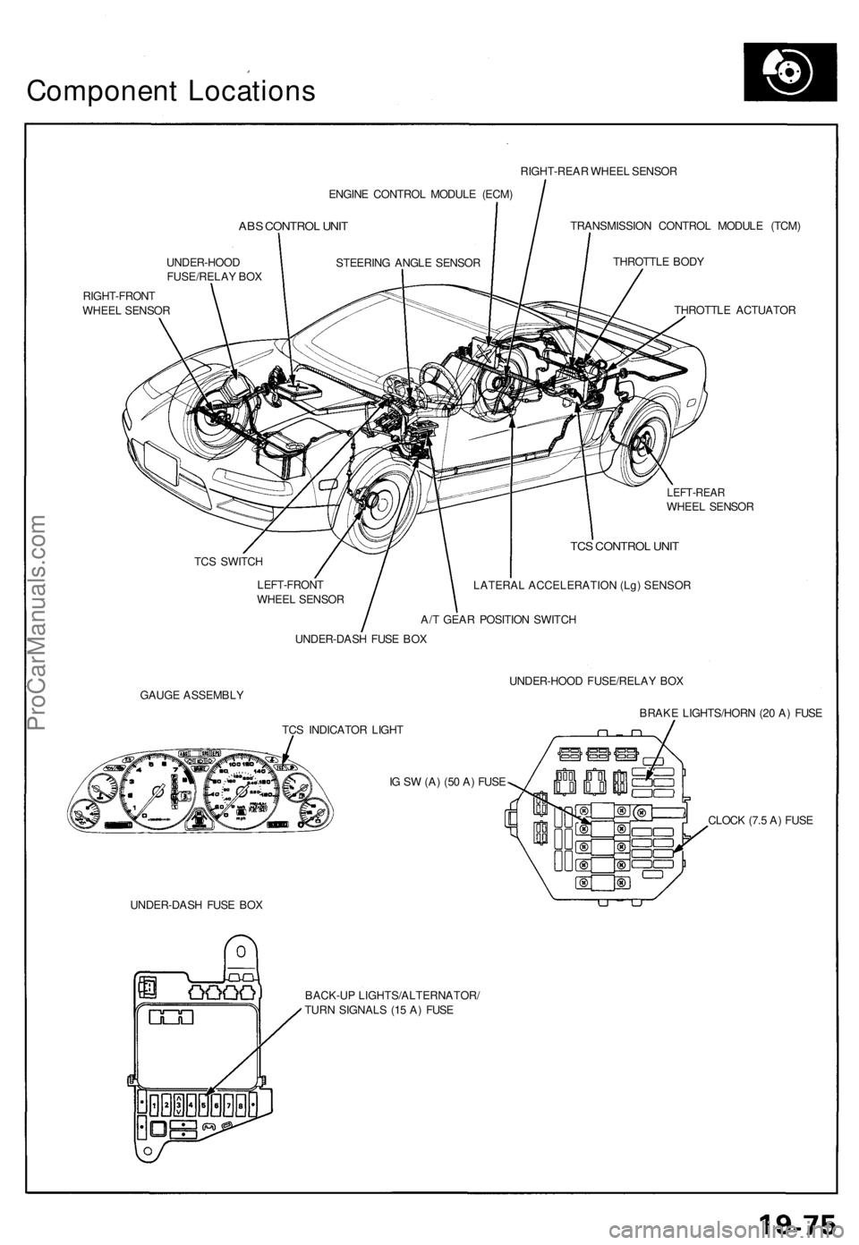 ACURA NSX 1991 Service Repair Manual Component Location s
ENGINE CONTRO L MODUL E (ECM )
ABS CONTRO L UNI T
UNDER-HOO D
FUSE/RELA Y BO X
RIGHT-FRON T
WHEE L SENSO R RIGHT-REA
R WHEE L SENSO R
TRANSMISSIO N CONTRO L MODUL E (TCM )
THROTTL ACURA NSX 1991 Service Repair Manual Component Location s
ENGINE CONTRO L MODUL E (ECM )
ABS CONTRO L UNI T
UNDER-HOO D
FUSE/RELA Y BO X
RIGHT-FRON T
WHEE L SENSO R RIGHT-REA
R WHEE L SENSO R
TRANSMISSIO N CONTRO L MODUL E (TCM )
THROTTL