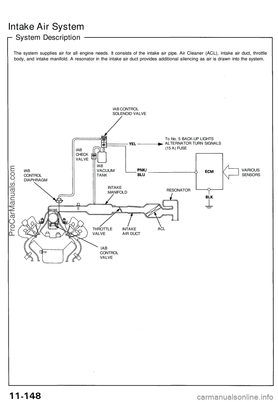 ACURA NSX 1997 Service Owners Guide Intake Ai r Syste m
System Descriptio n
The syste m supplie s ai r fo r al l engine needs. I t consist s o f th e intak e ai r pipe . Ai r Cleane r (ACL) , intak e ai r duct , throttl e
body , an d i ACURA NSX 1997 Service Owners Guide Intake Ai r Syste m
System Descriptio n
The syste m supplie s ai r fo r al l engine needs. I t consist s o f th e intak e ai r pipe . Ai r Cleane r (ACL) , intak e ai r duct , throttl e
body , an d i