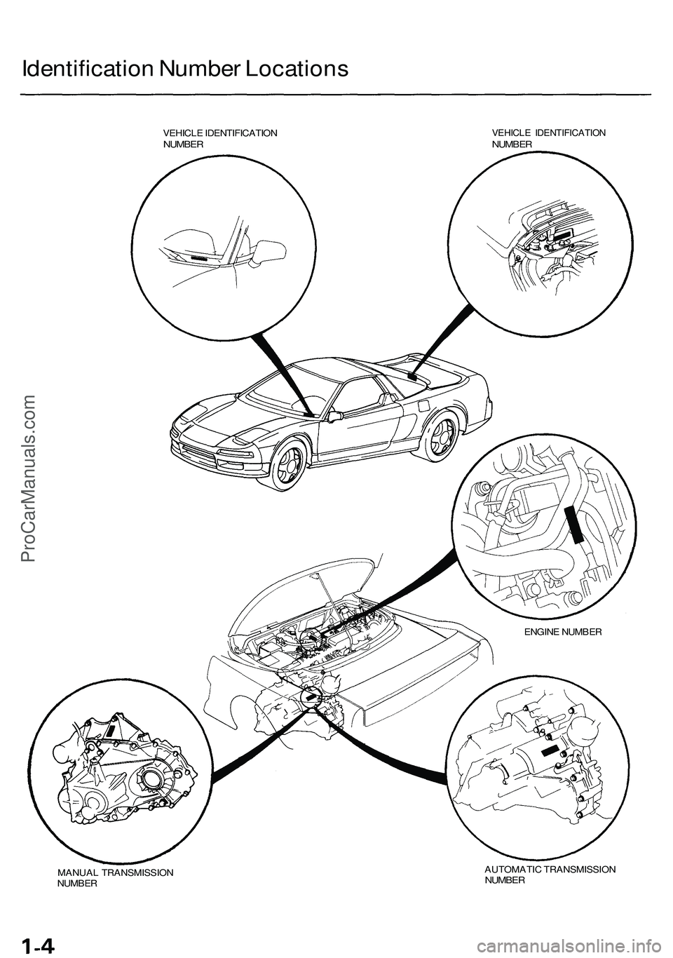 ACURA NSX 1997 Service Manual PDF Identification Numbe r Location s
VEHICLE IDENTIFICATIO NNUMBERVEHICL E IDENTIFICATIO NNUMBER
ENGINE NUMBE R
MANUA L TRANSMISSIO N
NUMBE R AUTOMATI
C TRANSMISSIO N
NUMBER
ProCarManuals.com ACURA NSX 1997 Service Manual PDF Identification Numbe r Location s
VEHICLE IDENTIFICATIO NNUMBERVEHICL E IDENTIFICATIO NNUMBER
ENGINE NUMBE R
MANUA L TRANSMISSIO N
NUMBE R AUTOMATI
C TRANSMISSIO N
NUMBER
ProCarManuals.com