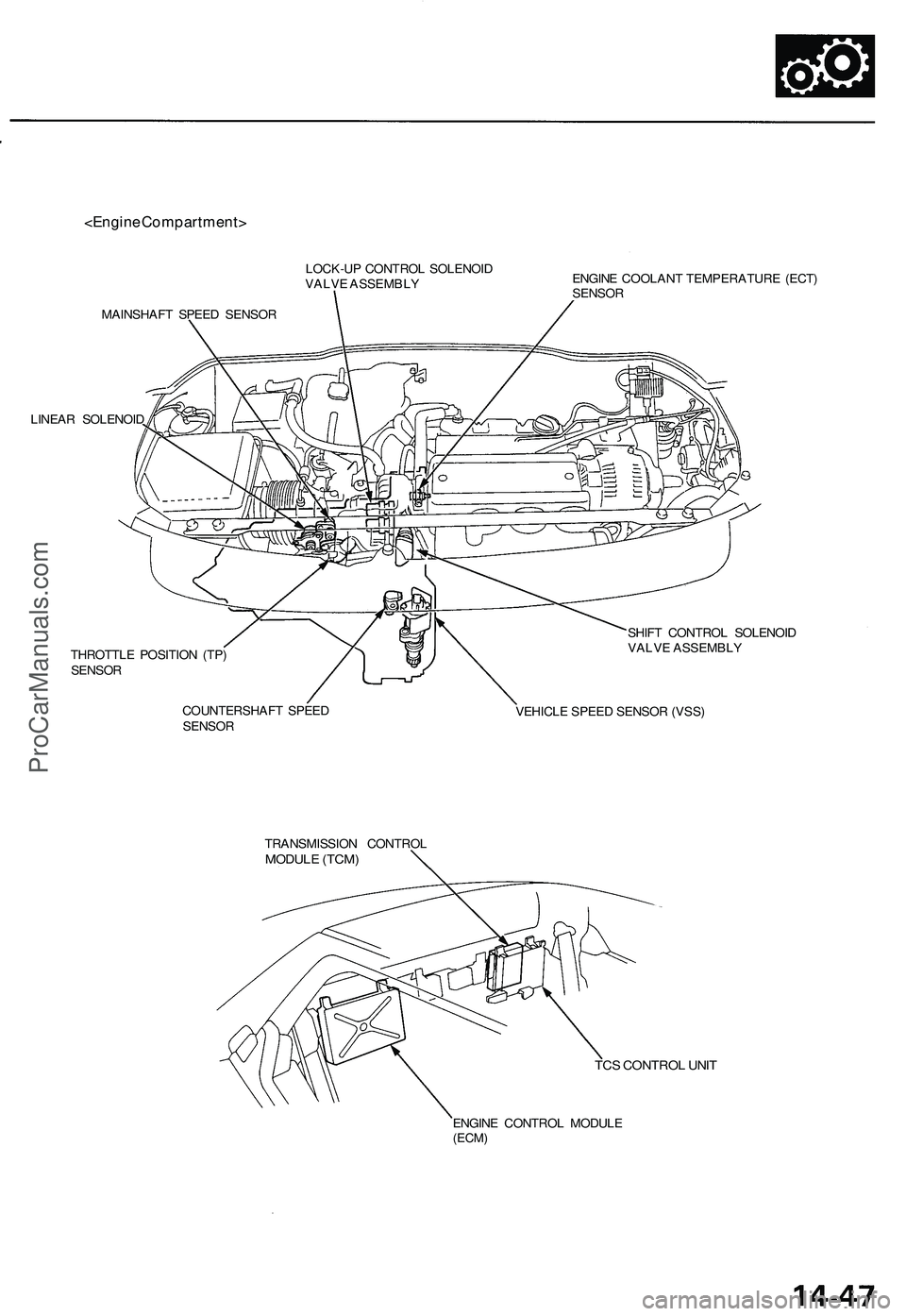 ACURA NSX 1997 Service Service Manual
<Engine Compartment>
LOCK-UP CONTROL SOLENOID
VALVE ASSEMBLY
MAINSHAFT SPEED SENSOR
LINEAR SOLENOID
ENGINE COOLANT TEMPERATURE (ECT)
SENSOR
THROTTLE POSITION (TP)
SENSOR
COUNTERSHAFT SPEED
ACURA NSX 1997 Service Service Manual
<Engine Compartment>
LOCK-UP CONTROL SOLENOID
VALVE ASSEMBLY
MAINSHAFT SPEED SENSOR
LINEAR SOLENOID
ENGINE COOLANT TEMPERATURE (ECT)
SENSOR
THROTTLE POSITION (TP)
SENSOR
COUNTERSHAFT SPEED