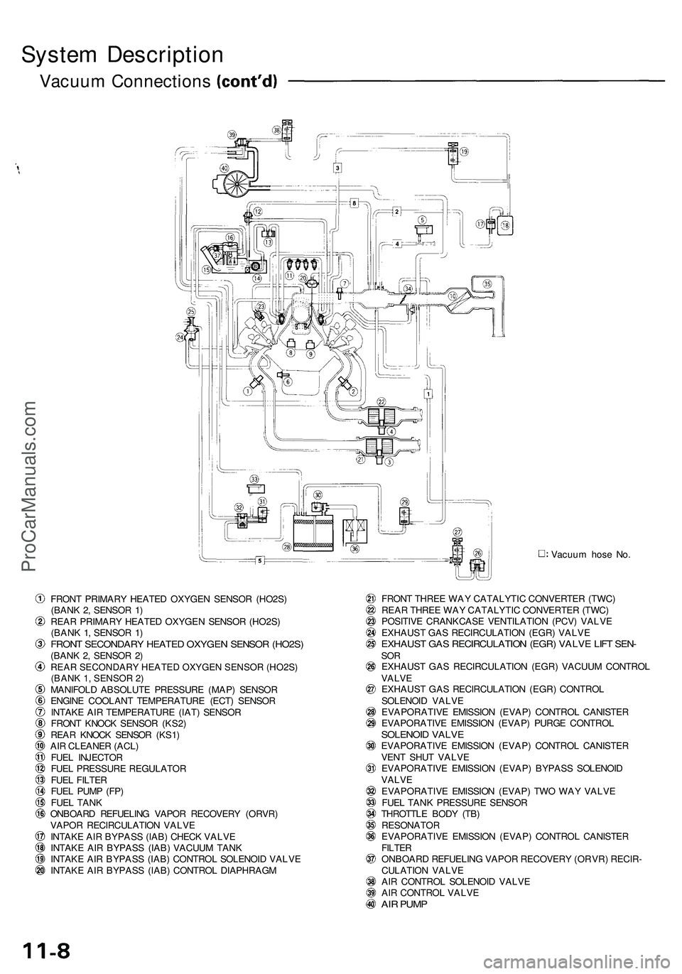ACURA NSX 1997 Service Repair Manual System Descriptio n
Vacuum Connection s
FRONT PRIMAR Y HEATE D OXYGE N SENSO R (HO2S )
(BAN K 2 , SENSO R 1 )
REA R PRIMAR Y HEATE D OXYGE N SENSO R (HO2S )
(BAN K 1 , SENSO R 1 )
FRON T SECONDAR Y HE ACURA NSX 1997 Service Repair Manual System Descriptio n
Vacuum Connection s
FRONT PRIMAR Y HEATE D OXYGE N SENSO R (HO2S )
(BAN K 2 , SENSO R 1 )
REA R PRIMAR Y HEATE D OXYGE N SENSO R (HO2S )
(BAN K 1 , SENSO R 1 )
FRON T SECONDAR Y HE