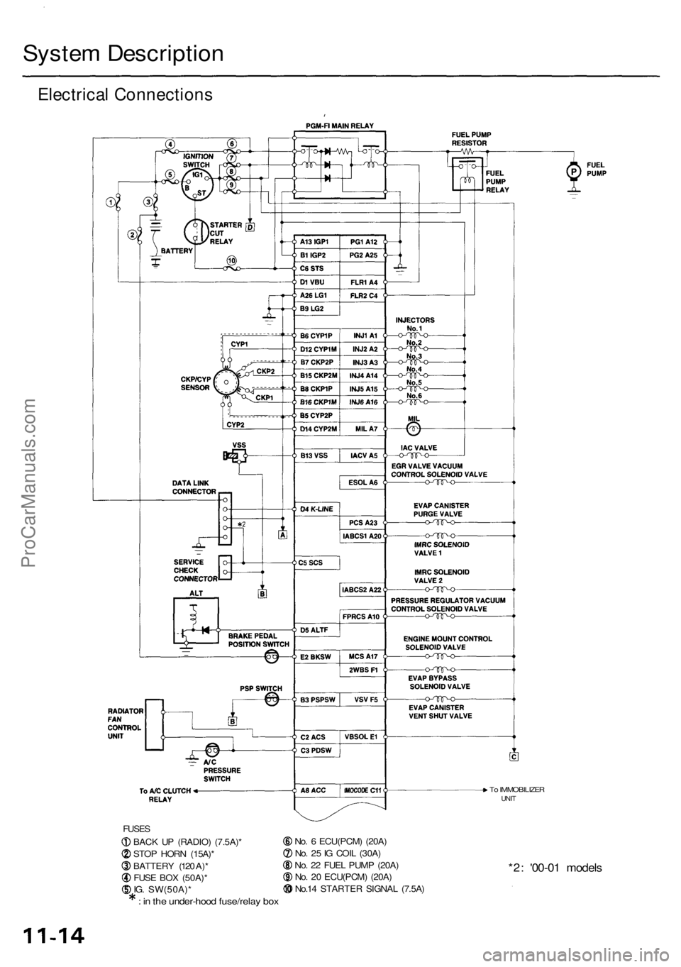 ACURA RL KA9 1996  Service Repair Manual System Descriptio n
Electrical Connection s
FUSES
BACK U P (RADIO ) (7.5A) *
STO P HOR N (15A) *
BATTER Y (12 0 A) *
FUS E BO X (50A) *
IG . SW(50A) *
: i n  th e under-hoo d fuse/rela y bo x
No. 6  E