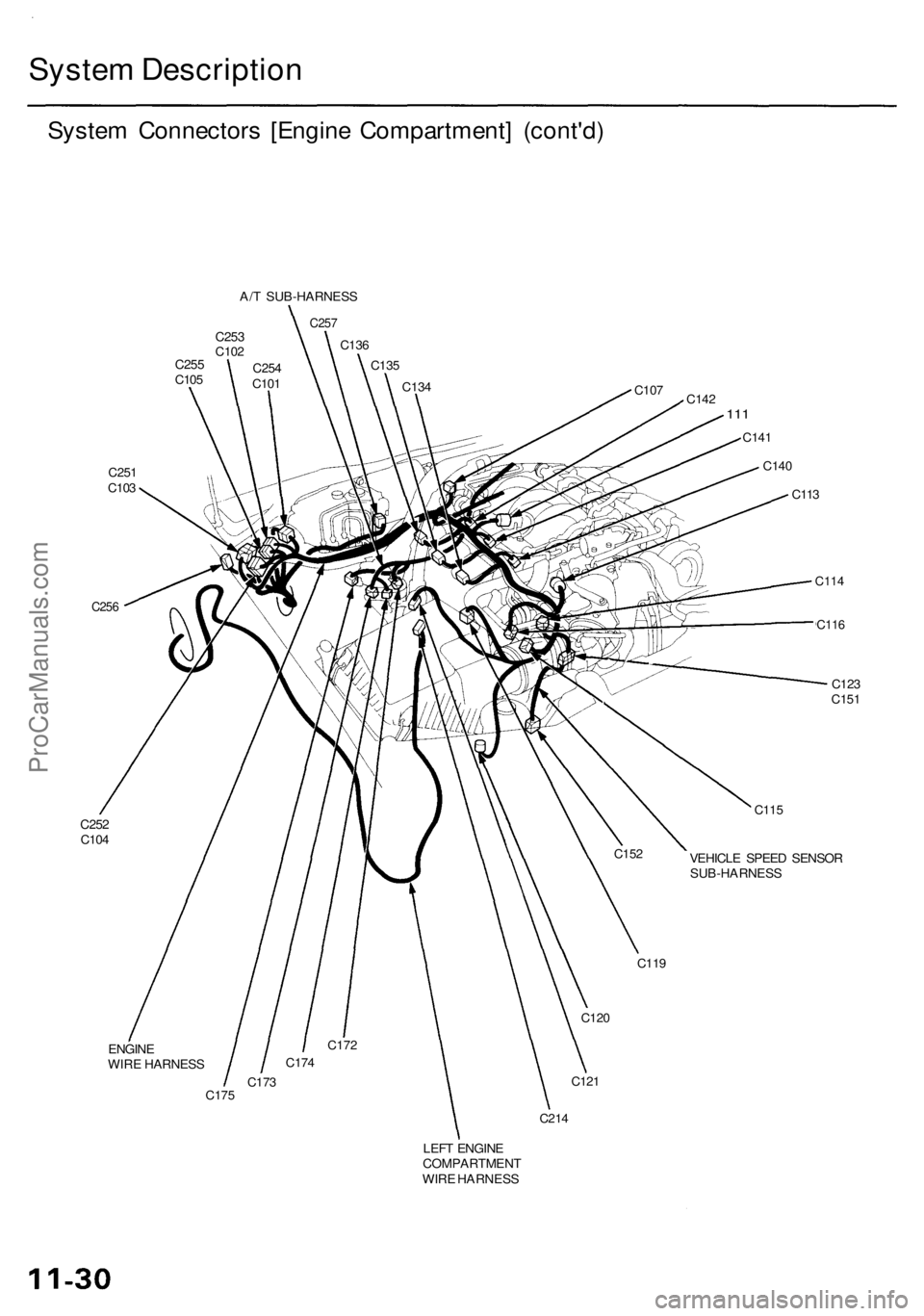 ACURA RL KA9 1996  Service Repair Manual System Descriptio n
System Connector s [Engin e Compartment ] (cont'd )
A/T SUB-HARNES S
C257
C10 7C142
C25 1
C10 3
C113
C25 6
C12 3C15 1
C115
VEHICL E SPEE D SENSO RSUB-HARNES S
ENGINE
WIR E HARN