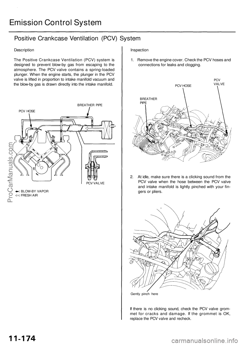 ACURA RL KA9 1996  Service Repair Manual Emission Contro l Syste m
Positiv e Crankcas e Ventilatio n (PCV ) Syste m
Descriptio n
Th e Positiv e Crankcas e Ventilatio n (PCV ) syste m is
designe d t o preven t blow-b y ga s fro m escapin g t 