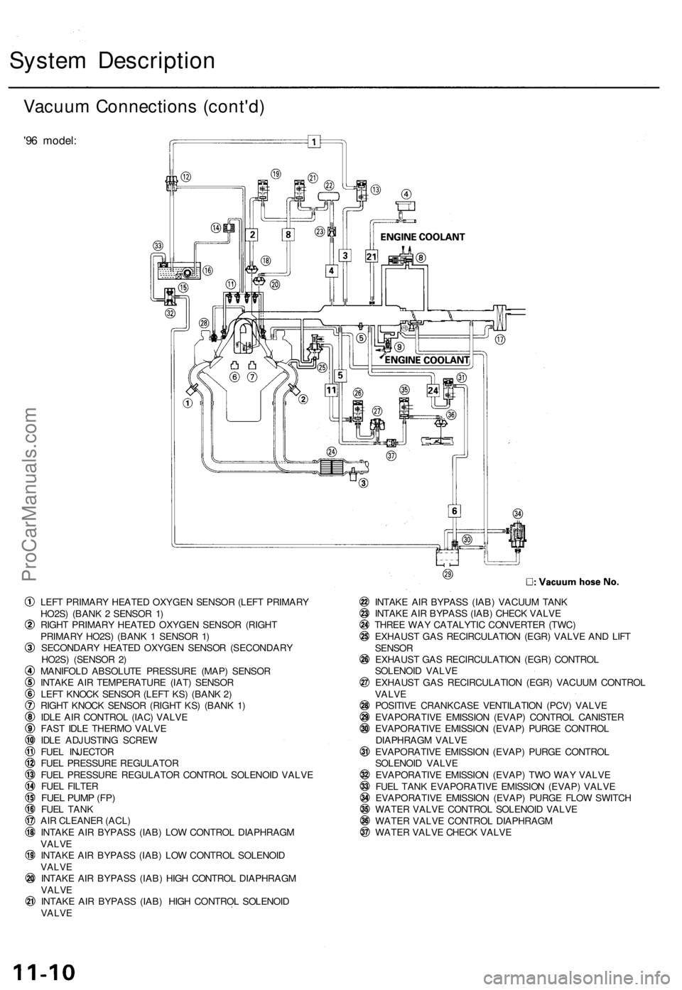 ACURA TL 1995  Service Repair Manual 
System Description

Vacuum Connections (cont'd)

'96 model:

LEFT PRIMARY HEATED OXYGEN SENSOR (LEFT PRIMARY

HO2S) (BANK 2 SENSOR 1)

RIGHT PRIMARY HEATED OXYGEN SENSOR (RIGHT

PRIMARY HO2S)