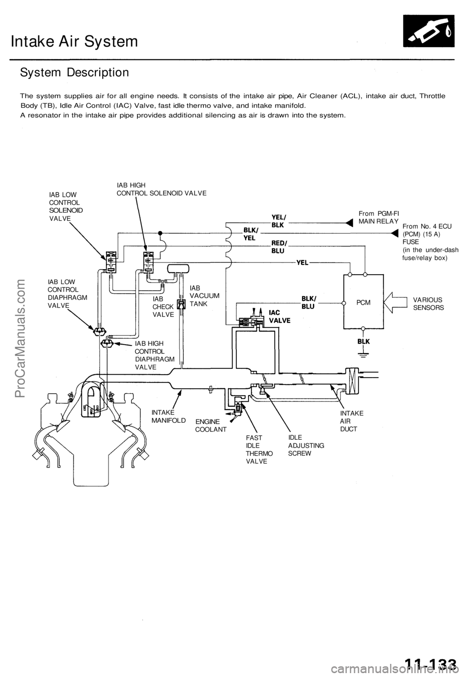 ACURA TL 1995 Service Repair Manual
Intake Air System
System Description
The system supplies air for all engine needs. It consists of the intake air pipe, Air Cleaner (ACL), intake air duct, Throttle
Body (TB), Idle Air Control (IAC ACURA TL 1995 Service Repair Manual
Intake Air System
System Description
The system supplies air for all engine needs. It consists of the intake air pipe, Air Cleaner (ACL), intake air duct, Throttle
Body (TB), Idle Air Control (IAC