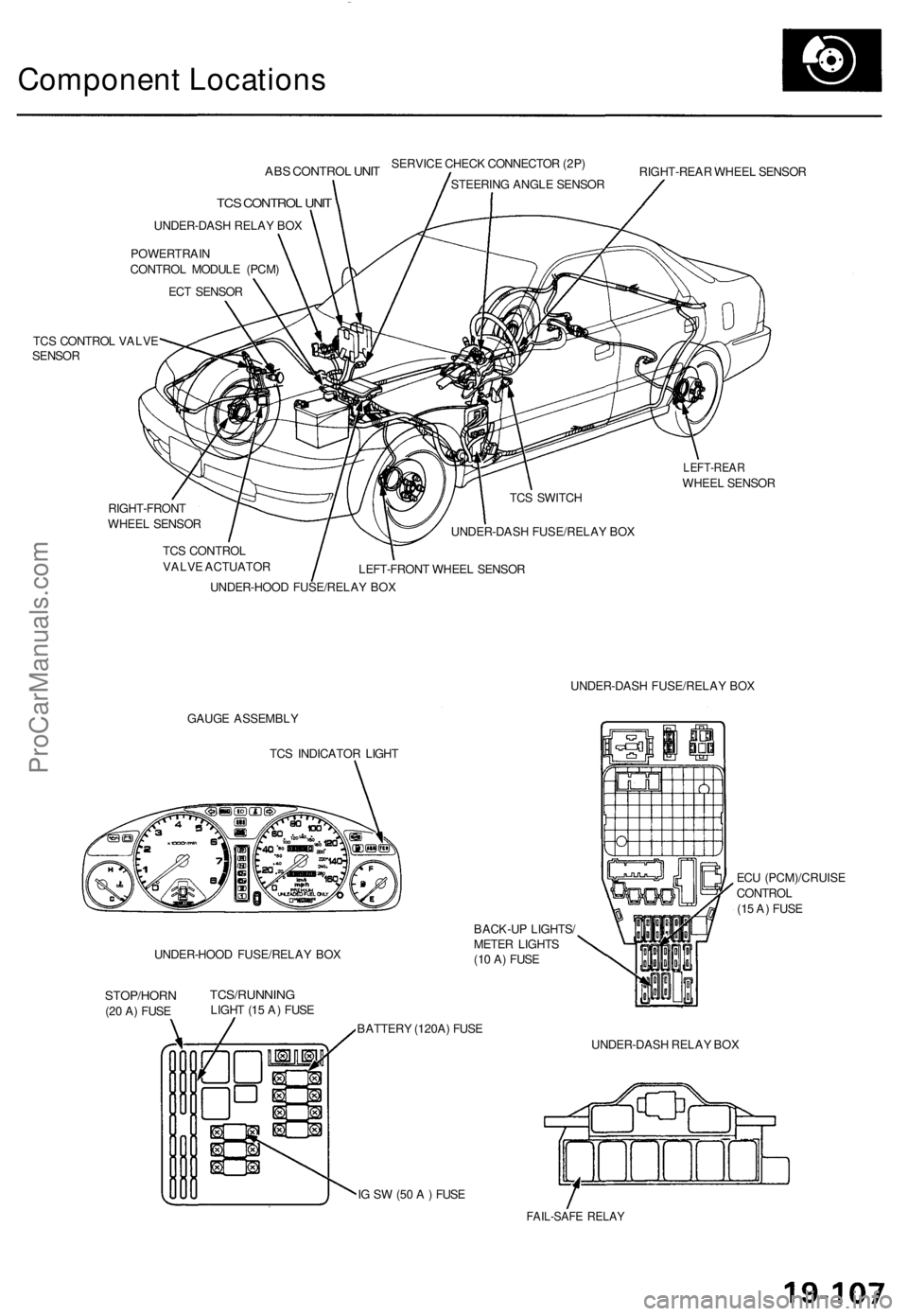 ACURA TL 1995  Service Repair Manual Component Location s
ABS CONTRO L UNI TSERVIC E CHEC K CONNECTO R (2P )
STEERIN G ANGL E SENSO R RIGHT-REA
R WHEE L SENSO R
TCS CONTRO L UNI T
UNDER-DAS H RELA Y BO X
POWERTRAI N
CONTRO L MODUL E (PCM