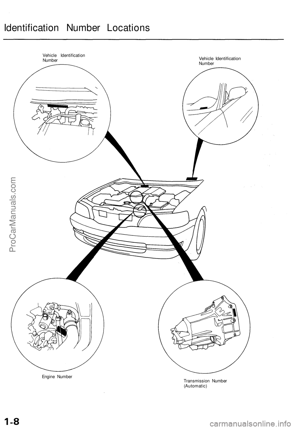 ACURA TL 1995  Service Repair Manual 
Identification Number Locations

Vehicle Identification

Number 
Vehicle Identification

Number

Engine Number

Transmission Number

(Automatic)ProCarManuals.com 