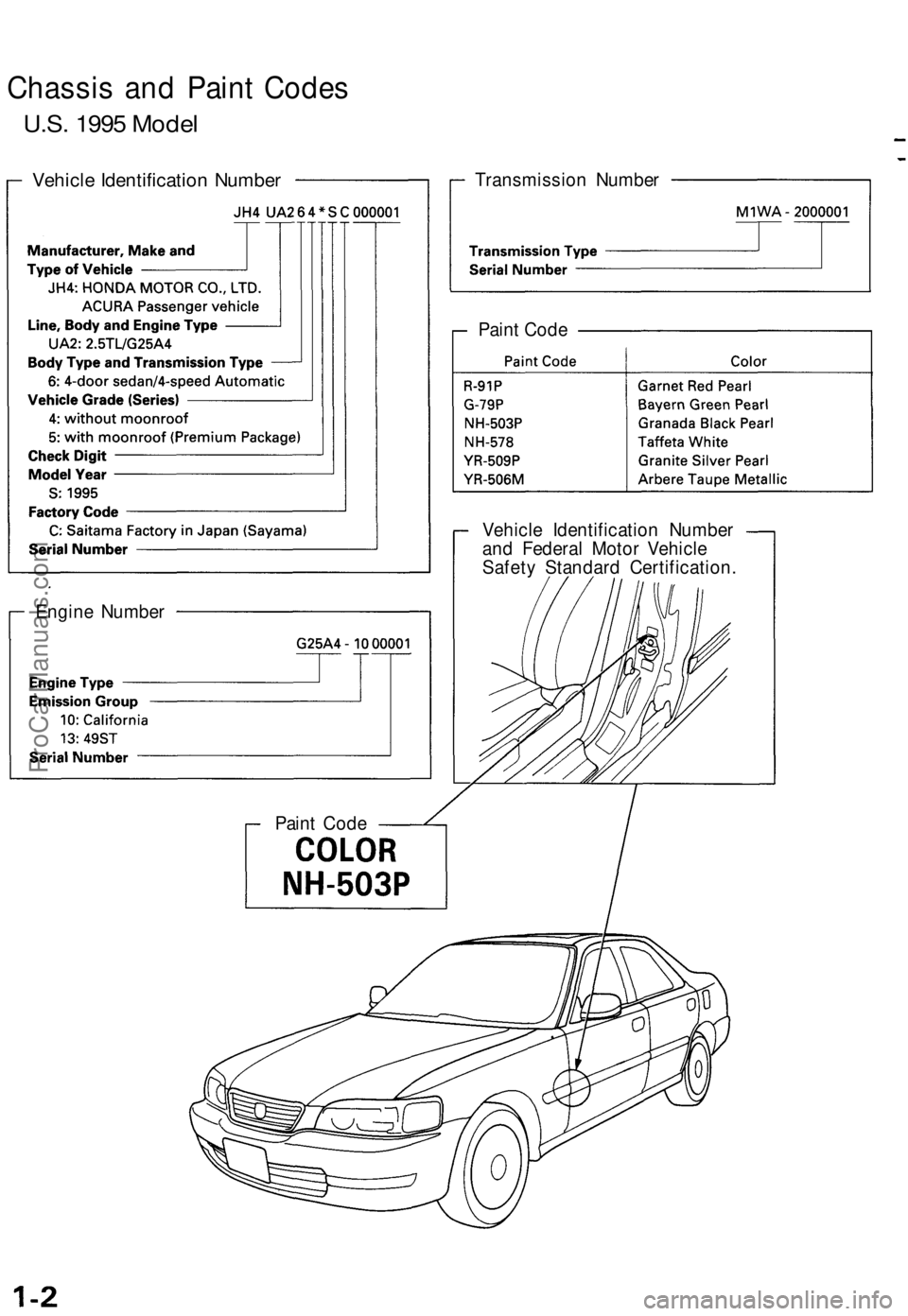 ACURA TL 1995  Service Repair Manual 
Chassis and Paint Codes

U.S. 1995 Model

Vehicle Identification Number 
Transmission Number

Vehicle Identification Number

and Federal Motor Vehicle

Safety Standard Certification.

Engine Number

