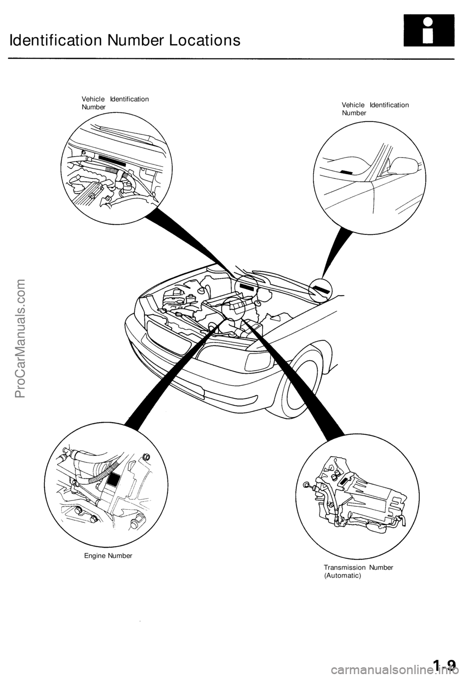 ACURA TL 1995 Service Repair Manual
Identification Number Locations
Vehicle Identification
Number
Vehicle Identification
Number
Engine Number
Transmission Number
(Automatic)ProCarManuals.com ACURA TL 1995 Service Repair Manual
Identification Number Locations
Vehicle Identification
Number
Vehicle Identification
Number
Engine Number
Transmission Number
(Automatic)ProCarManuals.com