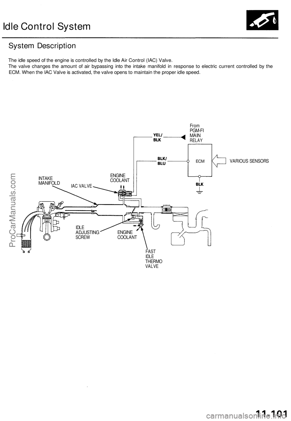 ACURA TL 1995 Service Repair Manual
Idle Control System
System Description
The idle speed of the engine is controlled by the Idle Air Control (IAC) Valve.
The valve changes the amount of air bypassing into the intake manifold in res ACURA TL 1995 Service Repair Manual
Idle Control System
System Description
The idle speed of the engine is controlled by the Idle Air Control (IAC) Valve.
The valve changes the amount of air bypassing into the intake manifold in res