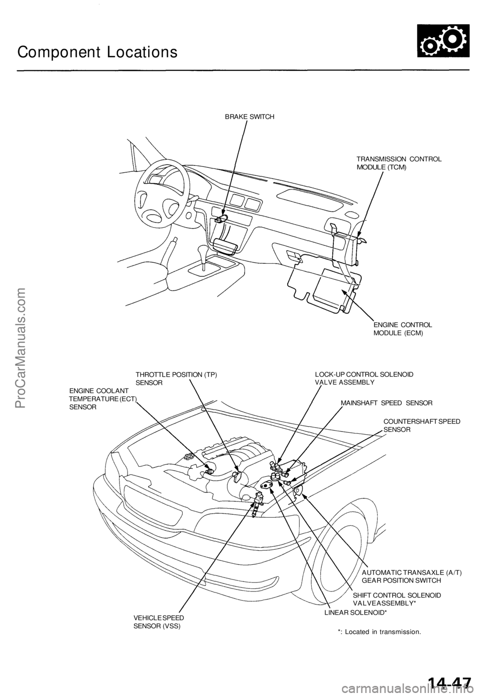 ACURA TL 1995 Service Repair Manual
Component Locations
BRAKE SWITCH
TRANSMISSION CONTROL
MODULE (TCM)
ENGINE CONTROL
MODULE (ECM)
THROTTLE POSITION (TP)
SENSOR
ENGINE COOLANT
TEMPERATURE (ECT)
SENSOR
LOCK-UP CONTROL SOLENOI ACURA TL 1995 Service Repair Manual
Component Locations
BRAKE SWITCH
TRANSMISSION CONTROL
MODULE (TCM)
ENGINE CONTROL
MODULE (ECM)
THROTTLE POSITION (TP)
SENSOR
ENGINE COOLANT
TEMPERATURE (ECT)
SENSOR
LOCK-UP CONTROL SOLENOI