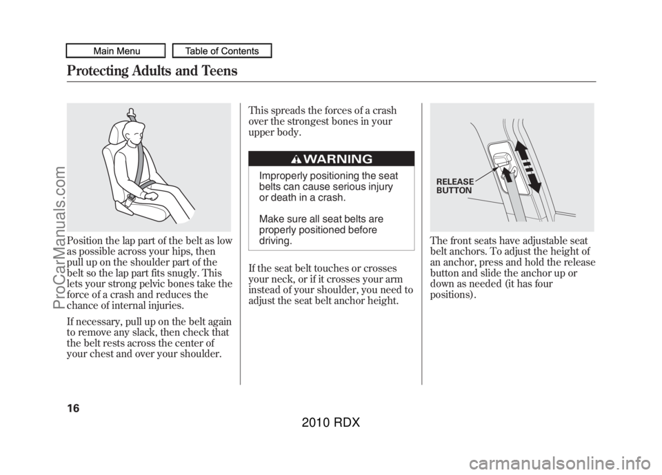 ACURA RDX 2010 User Guide Position the lap part of the belt as low
as possible across your hips, then
pull up on the shoulder part of the
belt so the lap part fits snugly. This
lets your strong pelvic bones take the
force of a