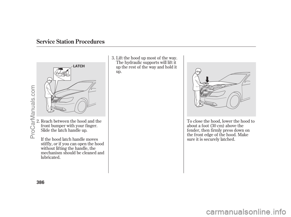 ACURA RL 2011  Owners Manual If the hood latch handle moves
stif f ly, or if you can open the hood
without lifting the handle, the
mechanism should be cleaned and
lubricated. Reach between the hood and the
f ront bumper with your