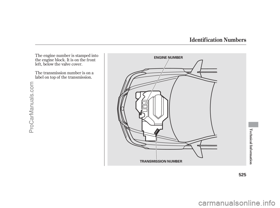 ACURA RL 2011  Owners Manual The engine number is stamped into
the engine block. It is on the f ront
left, below the valve cover.
The transmission number is on a
label on top of the transmission.
Identif ication Numbers
Technical
