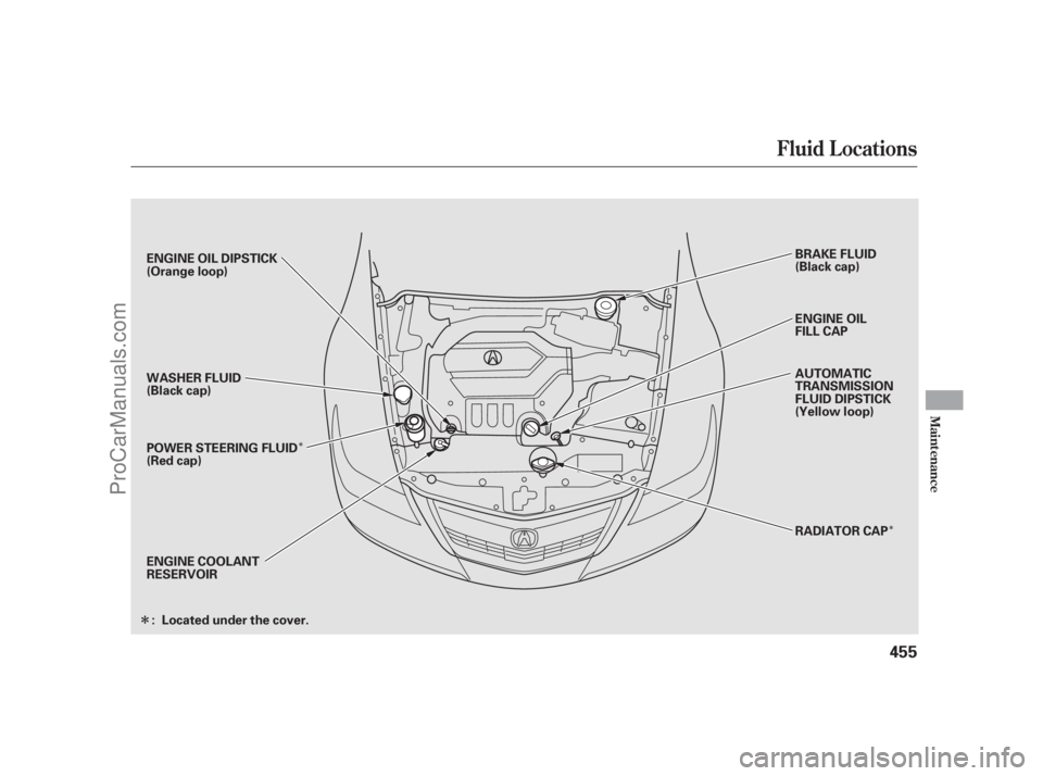 ACURA RL 2012 Manual PDF Î
Î
Î
Fluid Locations
Maint enance
455
ENGINE OIL DIPSTICK
(Orange loop)
WASHER FLUID
(Black cap)
POWER STEERING FLUID
(Red cap)
ENGINE COOLANT
RESERVOIRBRAKE FLUID
(Black cap)
ENGINE OIL
FILL C