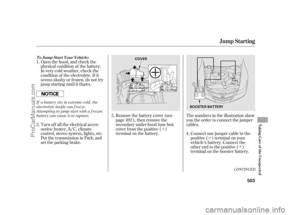 ACURA RL 2012 Owners Manual ´
´
´ Open the hood, and check the
physical condition of the battery.
In very cold weather, check the
condition of the electrolyte. If it
seems slushy or f rozen, do not try
jump starting until 