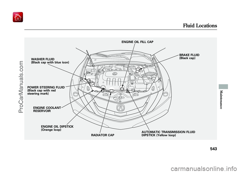 ACURA ZDX 2010  Owners Manual WASHER FLUID
(Black cap with blue icon)
POWER STEERING FLUID
(Black cap with red
steering mark)
ENGINE OIL DIPSTICK
(Orange loop)
ENGINE COOLANT
RESERVOIR
AUTOMATIC TRANSMISSION FLUID
DIPSTICK (Yellow
