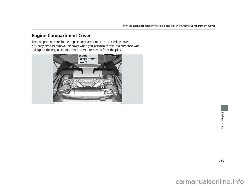 ACURA NSX 2021  Owners Manual 393
uuMaintenance Under the Hood and Hatch uEngine Compartment Cover
Maintenance
Engine Compartment Cover
The component parts in the engine co mpartment are protected by covers.
You may need to remove