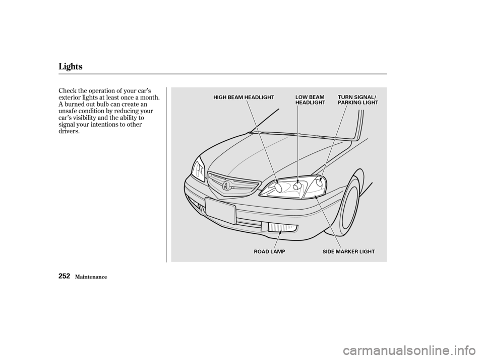 Acura CL 2002  Owners Manual Check the operation of your car’s
exterior lights at least once a month.
A burned out bulb can create an
unsaf e condition by reducing your
car’s visibility and the ability to
signal your intentio