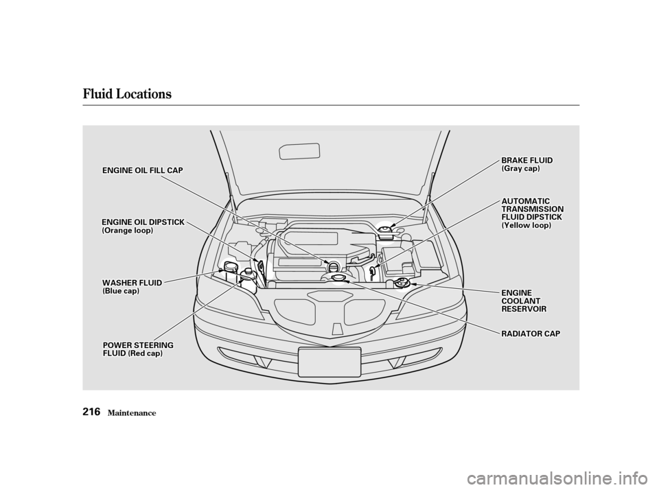 Acura CL 2001  Owners Manual Fluid Locations
Maint enance216
B
BRRAA K
KEE F
FLLUUI IDD
(
( G
Gr raay y c
caap p )
)
A
A U
UT TO
OM M A
AT
TI
ICC
T
T R
RA A N
NS SMM I
ISSS SIIOON N
F
FL LUUI IDD D
DI
IPP S
ST TI
ICCK K
(
( Y
Ye 