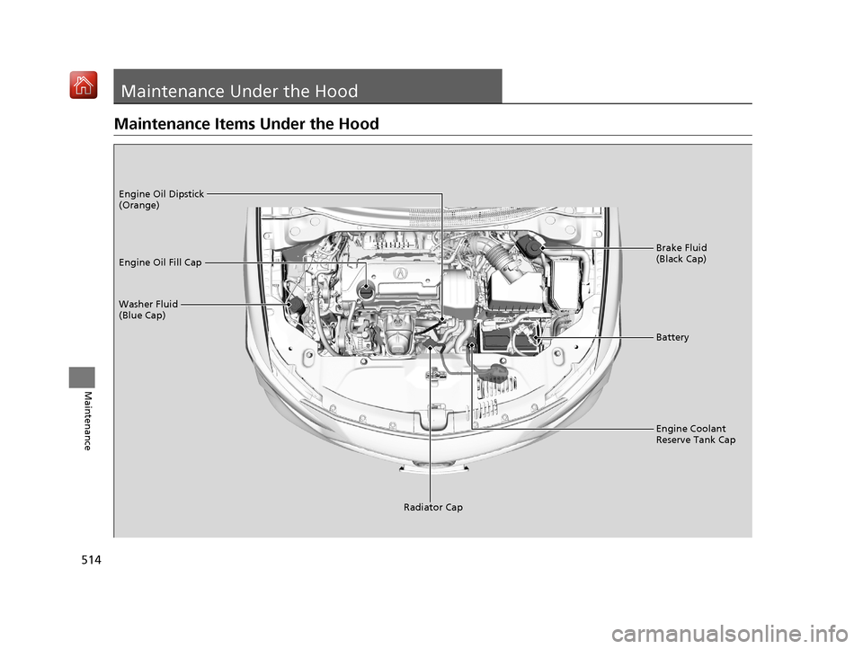 Acura ILX 2019 Owners Manual 514
Maintenance
Maintenance Under the Hood
Maintenance Items Under the Hood
Brake Fluid
(Black Cap)
Washer Fluid
(Blue Cap) Engine Oil Dipstick
(Orange)
Engine Oil Fill Cap
Battery
Engine Coolant
Acura ILX 2019 Owners Manual 514
Maintenance
Maintenance Under the Hood
Maintenance Items Under the Hood
Brake Fluid
(Black Cap)
Washer Fluid
(Blue Cap) Engine Oil Dipstick
(Orange)
Engine Oil Fill Cap
Battery
Engine Coolant