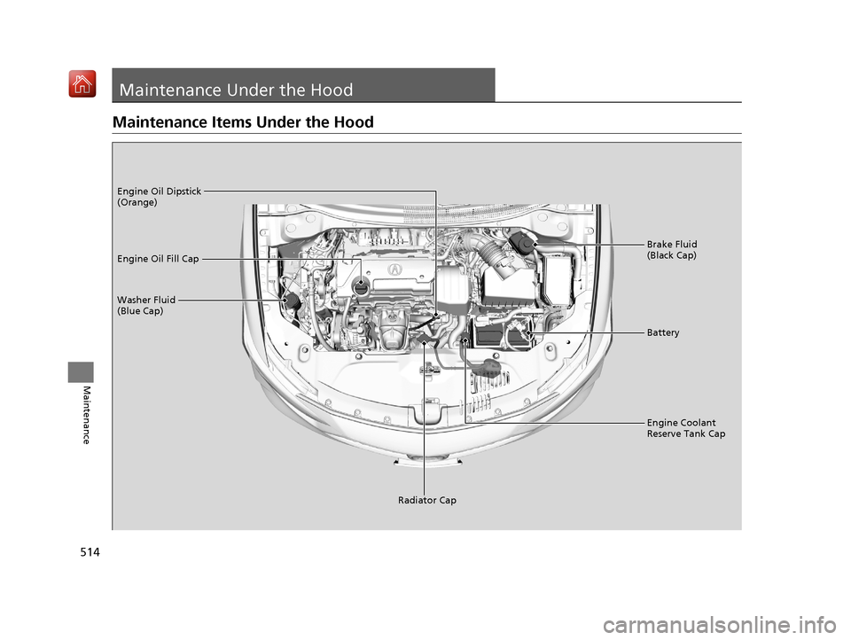 Acura ILX 2019  Owners Manual 514
Maintenance
Maintenance Under the Hood
Maintenance Items Under the Hood
Brake Fluid 
(Black Cap)
Washer Fluid 
(Blue Cap) Engine Oil Dipstick 
(Orange)
Engine Oil Fill Cap
Battery
Engine Coolant 
