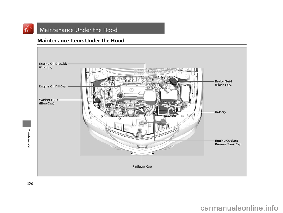 Acura ILX 2017  Owners Manual 420
Maintenance
Maintenance Under the Hood
Maintenance Items Under the Hood
Brake Fluid 
(Black Cap)
Washer Fluid 
(Blue Cap) Engine Oil Dipstick 
(Orange)
Engine Oil Fill Cap
Battery
Engine Coolant 
