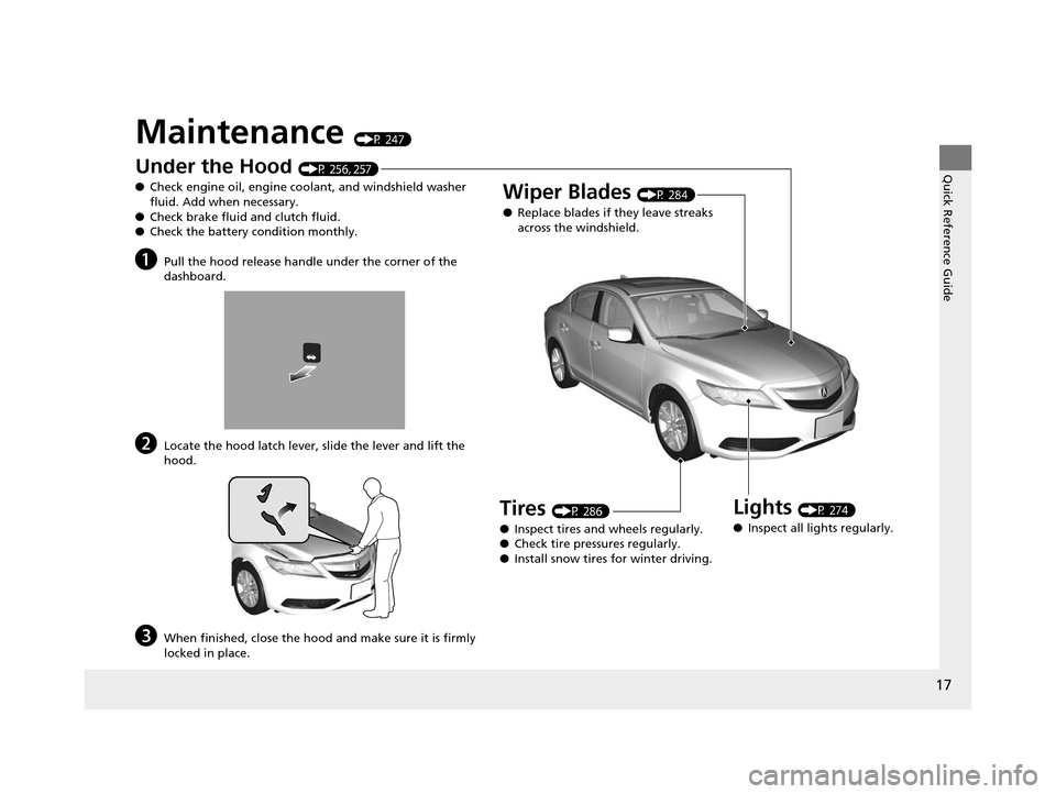 Acura ILX 2015  Owners Manual 17
Quick Reference Guide
Maintenance (P 247)
Under the Hood (P 256, 257)
● Check engine oil, engine coolant, and windshield washer 
fluid. Add when necessary.
● Check brake fluid and clutch fluid.