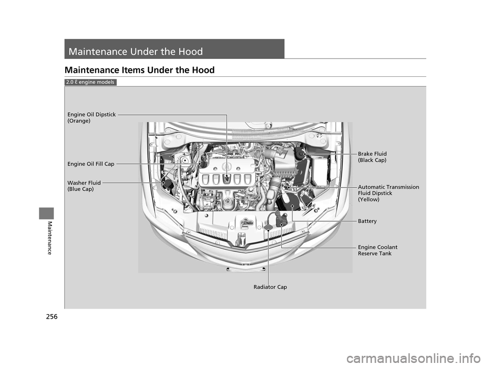 Acura ILX 2015 Repair Manual 256
Maintenance
Maintenance Under the Hood
Maintenance Items Under the Hood
2.0 ℓ engine models
Brake Fluid
(Black Cap)
Washer Fluid
(Blue Cap) Engine Oil Dipstick
(Orange)
Engine Oil Fill Cap
Au Acura ILX 2015 Repair Manual 256
Maintenance
Maintenance Under the Hood
Maintenance Items Under the Hood
2.0 ℓ engine models
Brake Fluid
(Black Cap)
Washer Fluid
(Blue Cap) Engine Oil Dipstick
(Orange)
Engine Oil Fill Cap
Au
