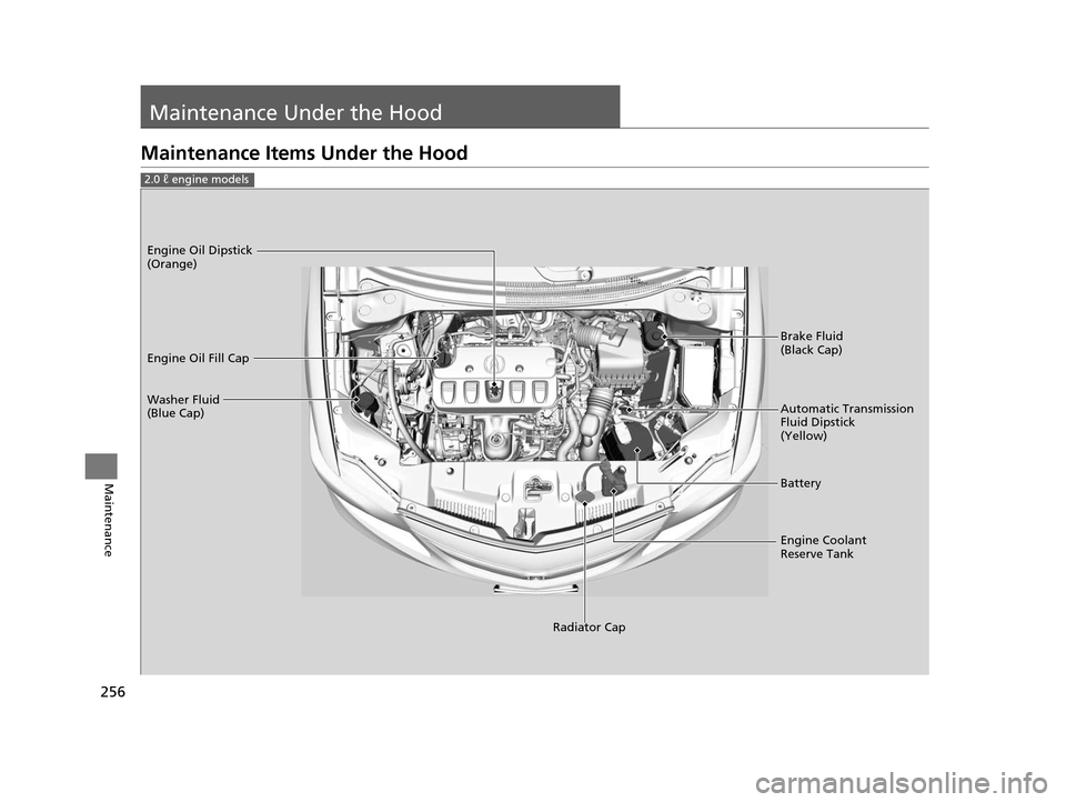 Acura ILX 2015  Owners Manual 256
Maintenance
Maintenance Under the Hood
Maintenance Items Under the Hood
2.0 ℓ engine models
Brake Fluid 
(Black Cap)
Washer Fluid 
(Blue Cap) Engine Oil Dipstick 
(Orange)
Engine Oil Fill Cap
Au