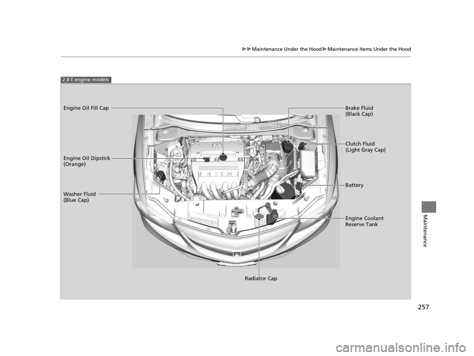 Acura ILX 2015 Repair Manual 257
uuMaintenance Under the Hood uMaintenance Items Under the Hood
Maintenance
2.4 ℓ engine models
Engine Oil Dipstick
(Orange)
Washer Fluid
(Blue Cap)
Engine Coolant
Reserve Tank Brake Fluid
(B Acura ILX 2015 Repair Manual 257
uuMaintenance Under the Hood uMaintenance Items Under the Hood
Maintenance
2.4 ℓ engine models
Engine Oil Dipstick
(Orange)
Washer Fluid
(Blue Cap)
Engine Coolant
Reserve Tank Brake Fluid
(B