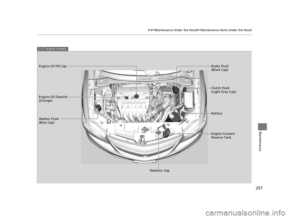 Acura ILX 2015  Owners Manual 257
uuMaintenance Under the Hood uMaintenance Items Under the Hood
Maintenance
2.4 ℓ engine models
Engine Oil Dipstick 
(Orange)
Washer Fluid 
(Blue Cap)
Engine Coolant 
Reserve Tank Brake Fluid 
(B