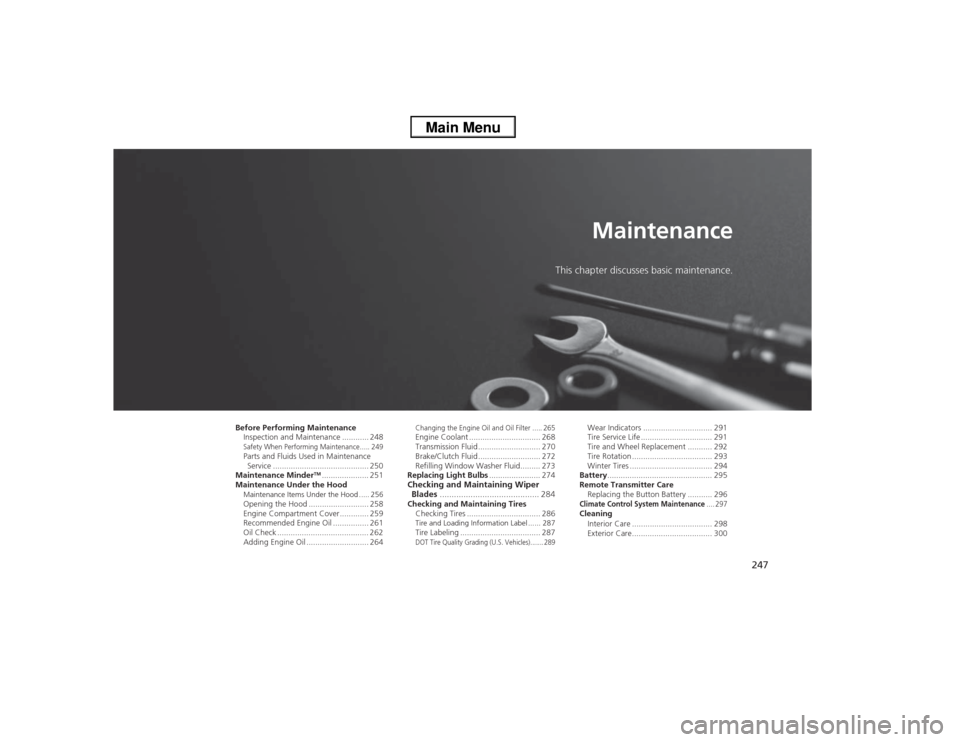 Acura ILX 2014  Owners Manual 247
Maintenance
This chapter discusses basic maintenance.
Before Performing Maintenance
Inspection and Maintenance ............ 248Safety When Performing Maintenance..... 249Parts and Fluids Used in M
