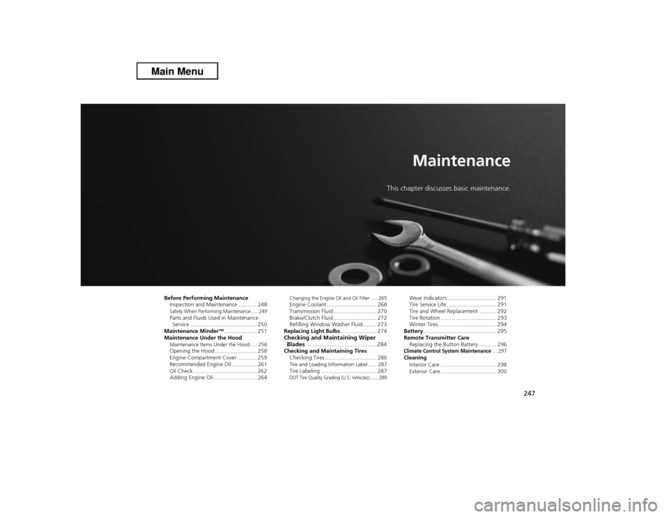 Acura ILX 2013  Owners Manual 247
Maintenance
This chapter discusses basic maintenance.
Before Performing Maintenance
Inspection and Maintenance ............ 248Safety When Performing Maintenance..... 249Parts and Fluids Used in M