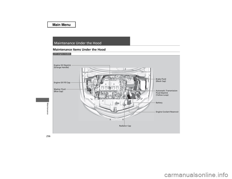 Acura ILX 2013  Owners Manual 256Maintenance
Maintenance Under the HoodMaintenance Items Under the Hood2.0 ℓ engine models
Brake Fluid 
(Black Cap)
Washer Fluid 
(Blue Cap) Engine Oil Dipstick 
(Orange Handle)
Engine Oil Fill Ca