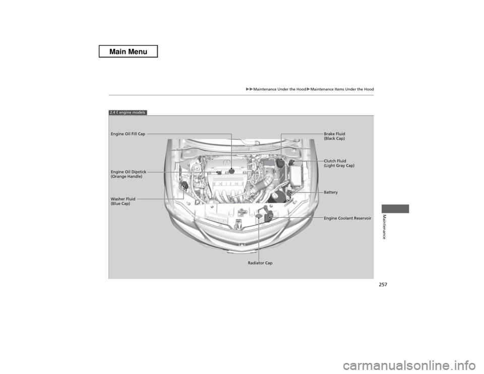 Acura ILX 2013  Owners Manual 257
uuMaintenance Under the HooduMaintenance Items Under the Hood
Maintenance
2.4 ℓ engine modelsEngine Oil Dipstick 
(Orange Handle)
Washer Fluid 
(Blue Cap)
Engine Coolant Reservoir Brake Fluid 
(